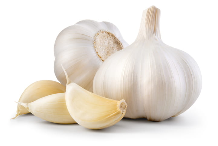 Garlic