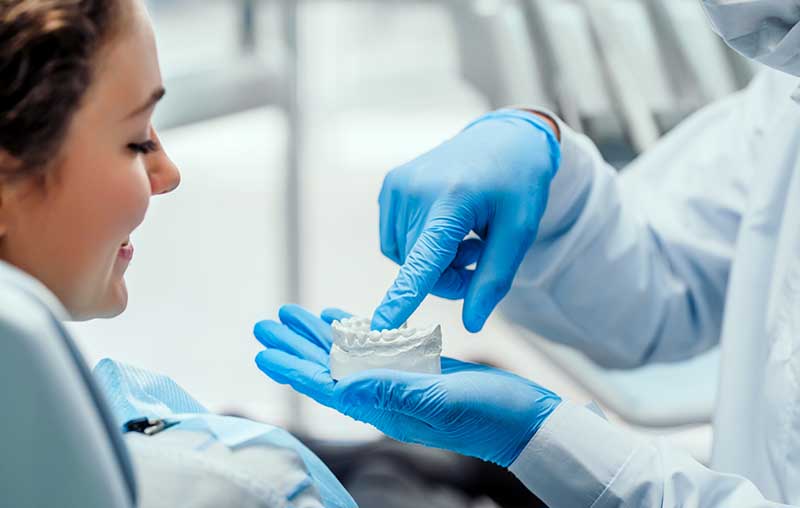 Orthodontist showing patient model of teeth 