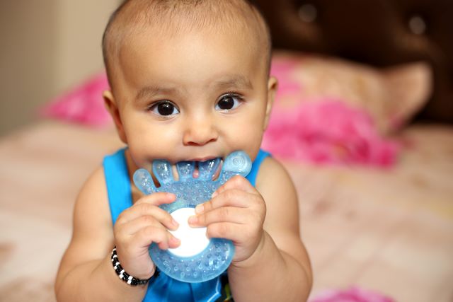 toddler chewing teething toy