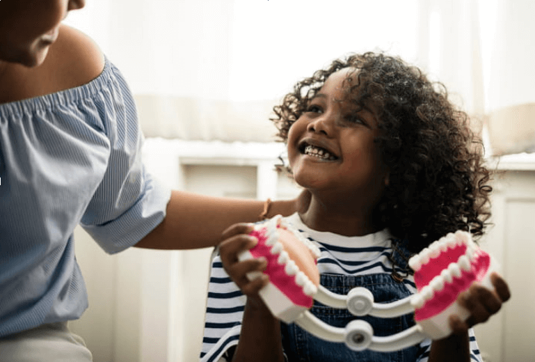 a child at the dentist's office, holding a model of teeth