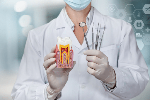 A periodontist holds a fake took showing periodontal disease in one hand, while holding dental tools in the other.