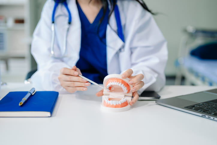A dentist is pointing at different areas of a model mouth to show how to effectively take care of your teeth. 