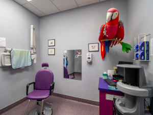 Child dentist room decorated at absolute dental